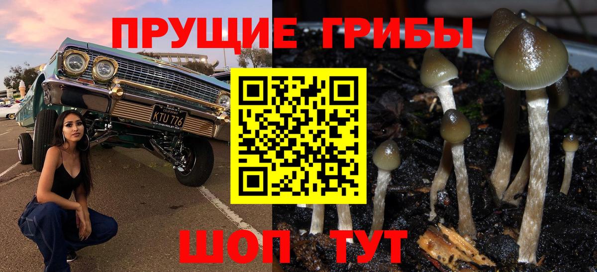 Псилоцибиновые грибы Magic Shrooms  Вход с VPN  Серпухов 
